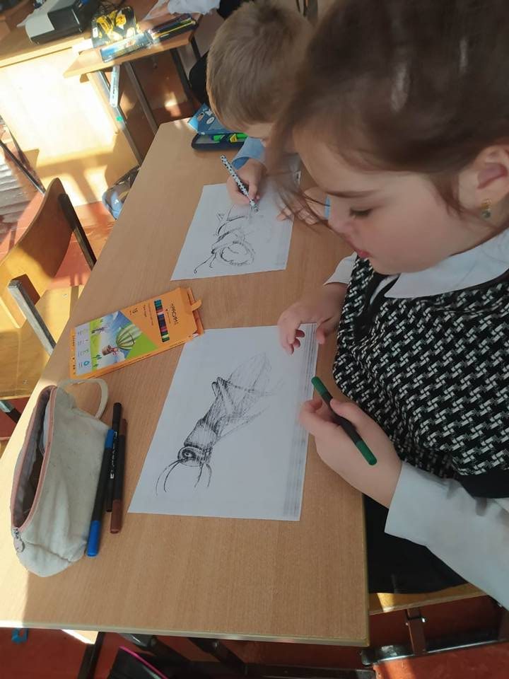 Экологическая викторина