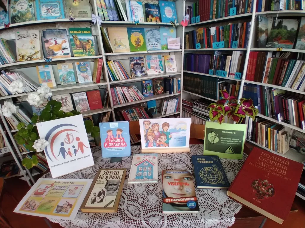 Профилактика правонарушений